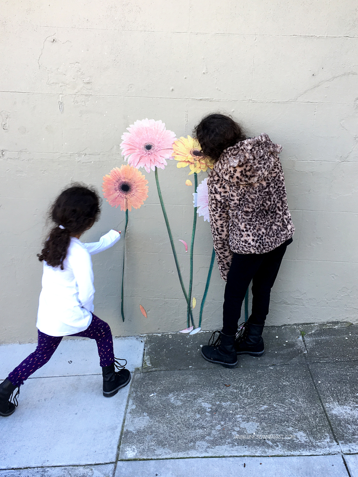 Gerbera Daisies Decal