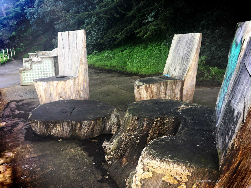 Tree Stump Chairs in Fort Mason