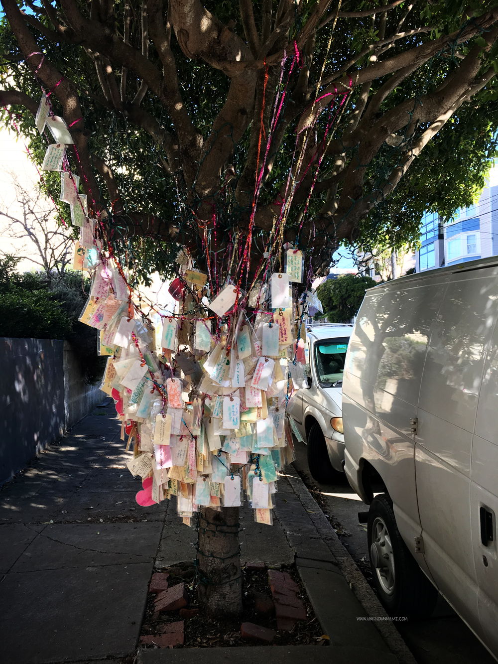 San Francisco Wishing Tree